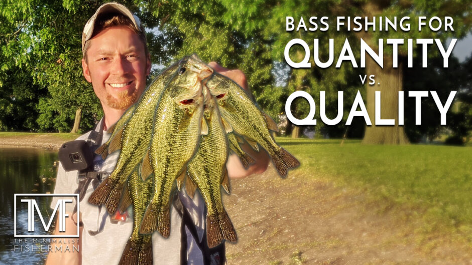 Bass Fishing for Quantity vs Quality