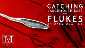 Catching Largemouth Bass with Flukes in Warm Weather