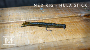 How to IMPROVE Your Ned Rig!