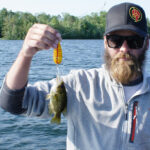 Rock Bass on a Dardevle Spoon