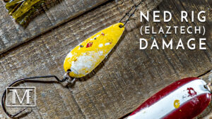 ElaZtech Damage to Other Plastics & Baits (Examples)