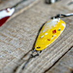 Ned Rig ElaZtech Damage to my lures!