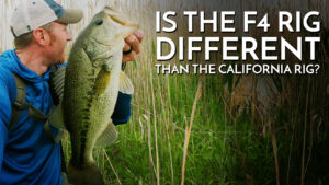 Is the F4 Rig Different than the California Rig for Bass Fishing?