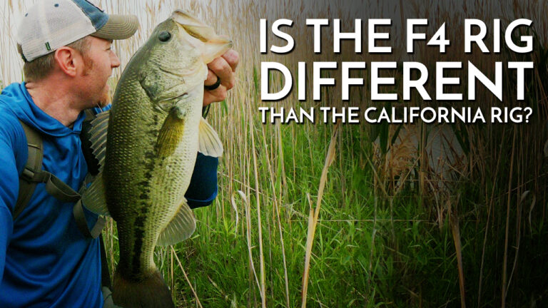 Is the F4 Rig Different than the California Rig for Bass Fishing? – The ...