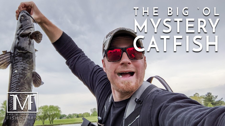 The Big 'ol Mystery Catfish