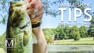 Bank Fishing Tips for Small City Lakes