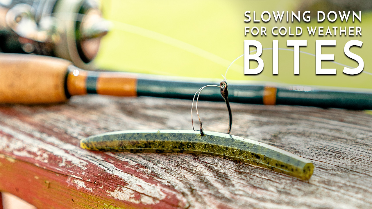 Slowing Down for Cold Weather Bites