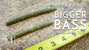 Bigger Baits for Bigger Bass (Small Bass Too!)