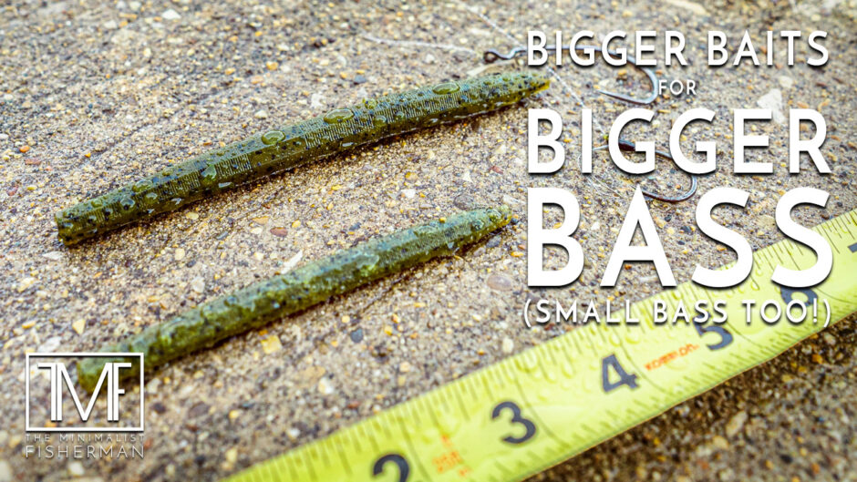 Bigger Baits for Bigger Bass (Small Bass Too)