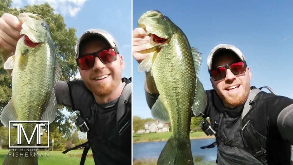 Afternoon Topwater Bass Bite