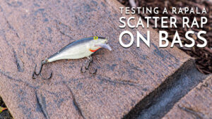 Testing a Rapala Scatter Rap on Bass