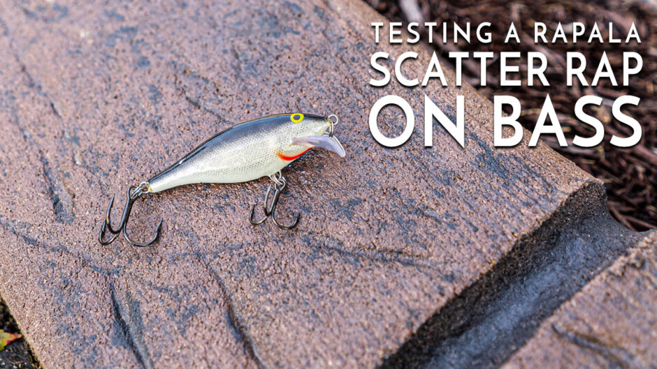 Testing a Rapala Scatter Rap on Bass
