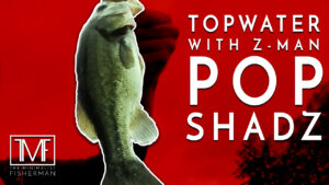 October Topwater Fishing w/ Z-Man Pop ShadZ