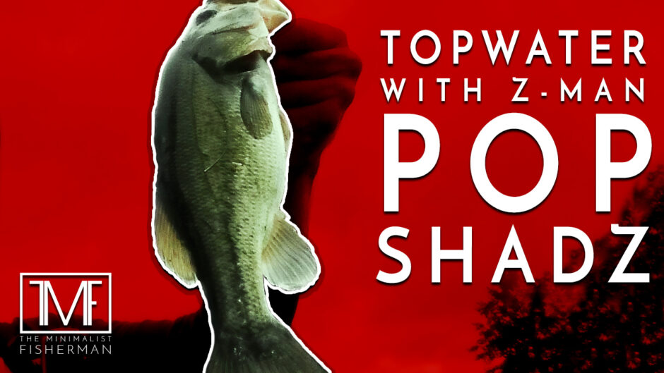 Topwater Fishing Z-Man Pop Shadz