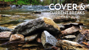 Cover & Current Breaks [Part 1] / Learning to Fish Rivers & Streams