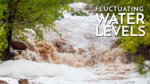 Fluctuating Water Levels / Learning to Fish Rivers & Streams