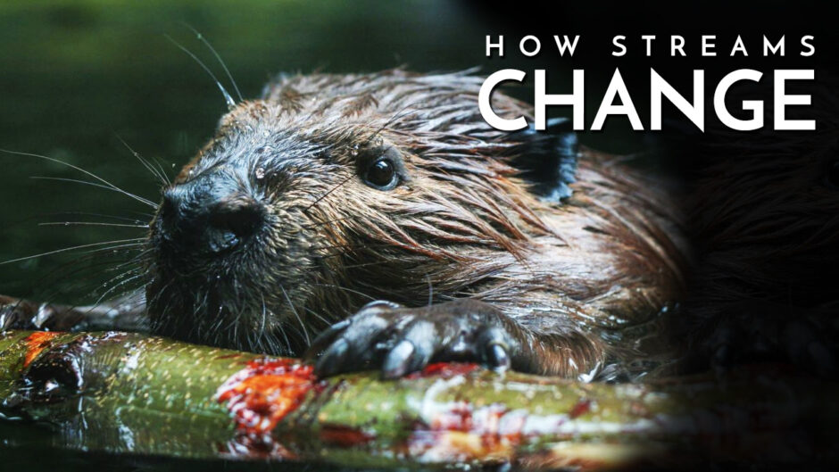 How Streams Change