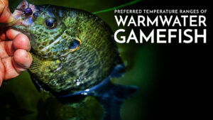 Preferred Temperature Ranges of Warmwater Gamefish / Learning to Fish Rivers & Streams