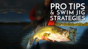 Pro Tips & Swim Jigs Strategies / Get Better at Swim Jig Fishing