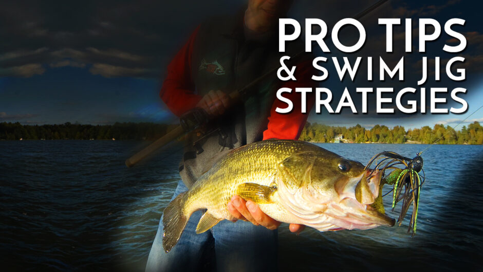 Pro Tips and Swim Jig Strategies