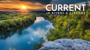 What is Current in a Body of Water? / Learning to Fish Rivers & Streams