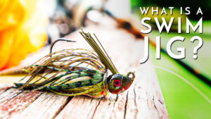 What is a Swim Jig? / Get Better at Swim Jig Fishing