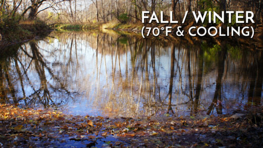 Fall into Winter Transition