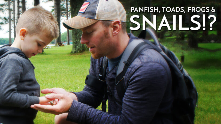Panfish Toads Frogs & Snails