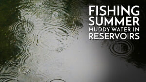 Summer Reservoir Fishing Scenarios / Learn to Fish Reservoirs