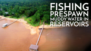 Prespawn Reservoir Fishing Scenarios / Learn to Fish Reservoirs