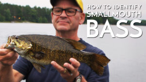 How to Identify Smallmouth Bass