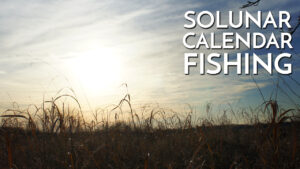 Solunar Calendar Fishing in the Midwest