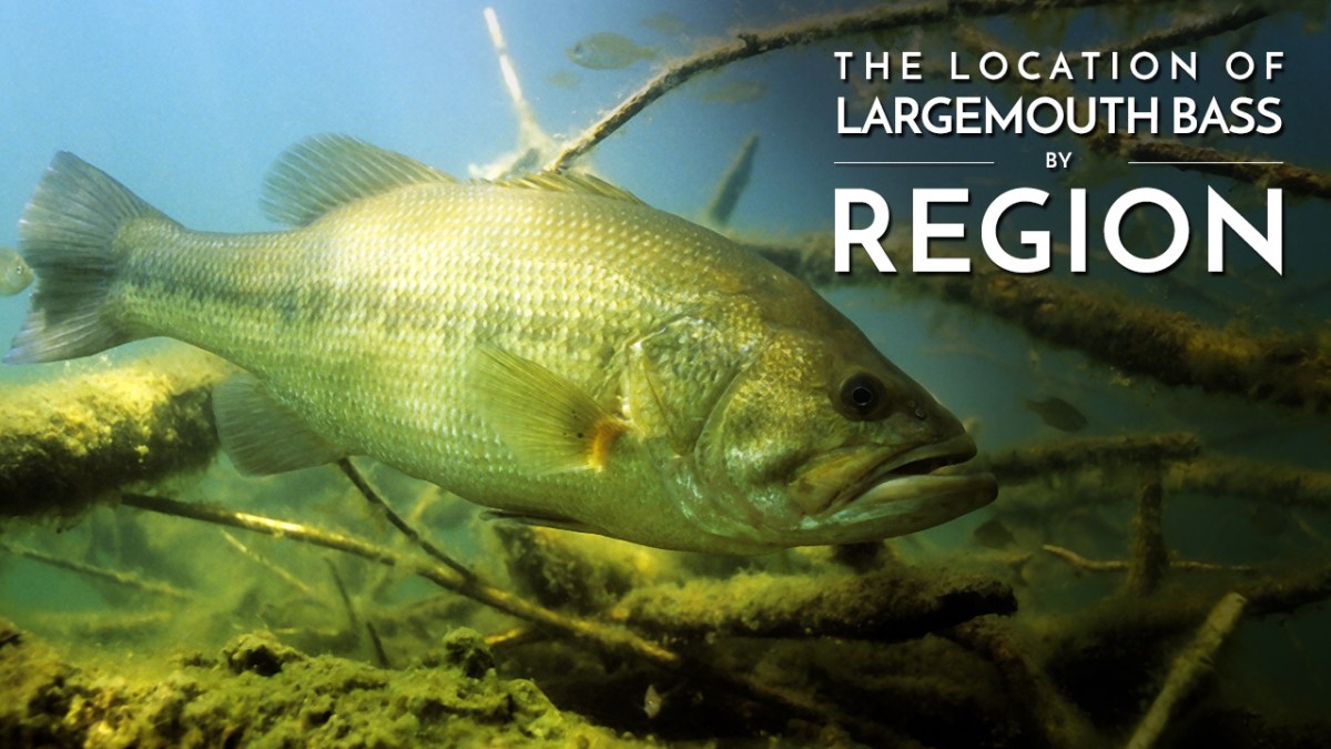 Location of Largemouth Bass by Region / Learn to Fish Largemouth Bass