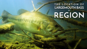 Location of Largemouth Bass by Region / Learn to Fish Largemouth Bass
