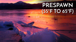 The Prespawn Period (55°F to 65°F) / Learn to Fish Reservoirs