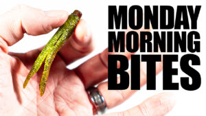 Ned Rigs catch… WHAT IS THAT?! | MMB Ep. 2