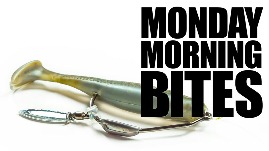 Testing a Saucy Z-Man DieZel Minnow | MMB Ep. 4