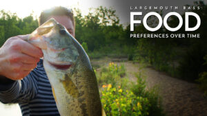 Largemouth Bass Food Preferences Over Time