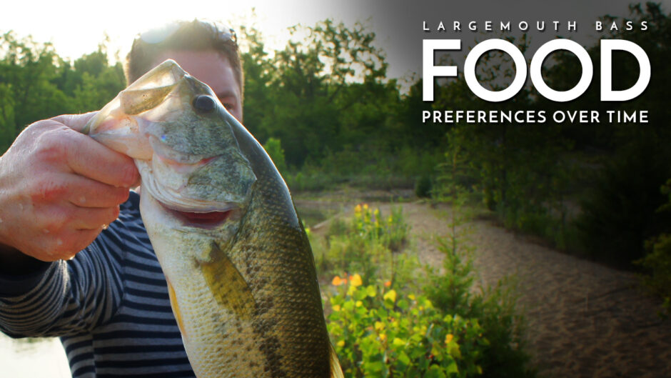Largemouth Bass Food Preferences Over Time