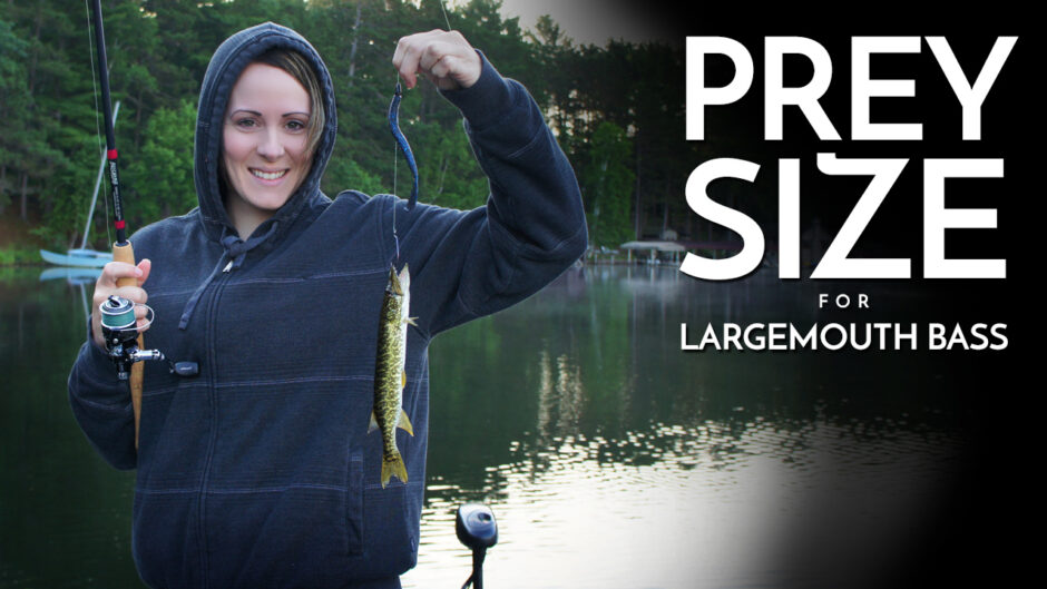 Prey Size for Largemouth Bass