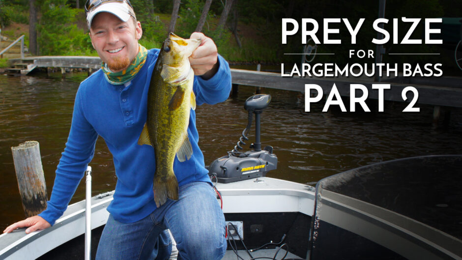Prey Size for Largemouth Bass Part 2