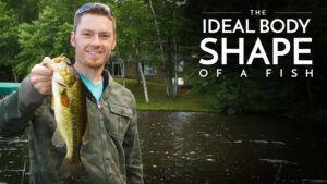 The Ideal Body Shape of a Fish