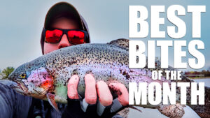 Illinois Fishing in April | Ned Rigs, YUM Dingers & Swimbaits