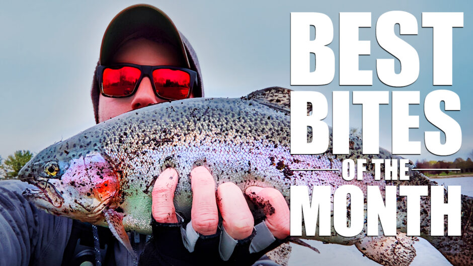 Best Bites of the Month | April 2021