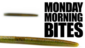 Monday Morning Bites Episode 8 Zlinkys are Sick