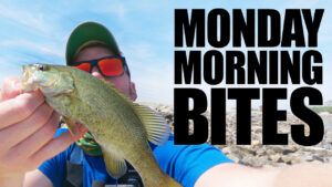 Searching for Smallmouth Bass in Illinois | MMB Ep. 10
