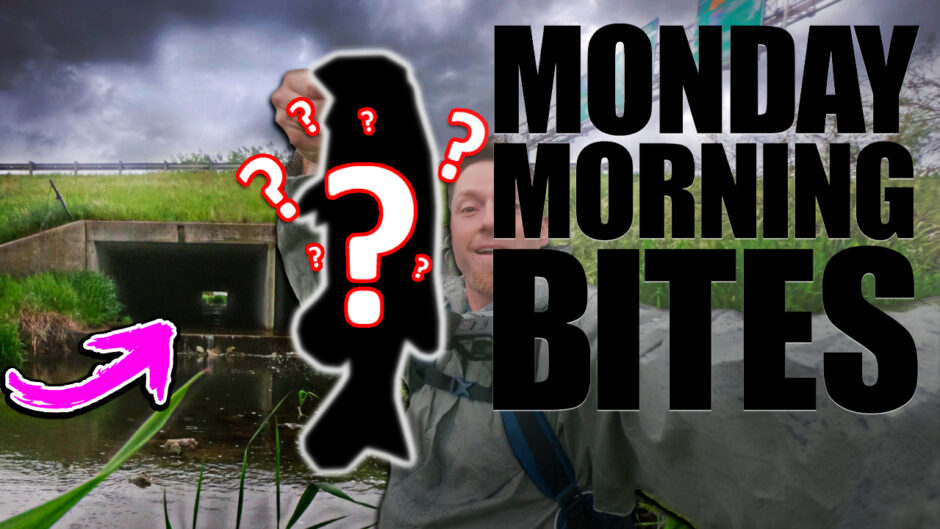 Monday Morning Bites 12 What Lurks Below the Interstate