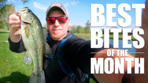 Illinois Fishing in May | Mule Jigs, Donkey Tails & Salty Sinkin’ Worms