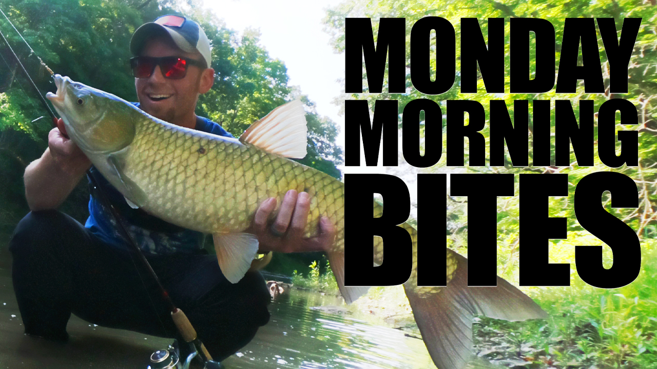 Creek Fishing 101 | MMB Ep. 20