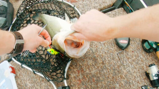 TMF Short #2 Manns's 1-Minus Crankbait Largemouth